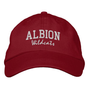 Boné Chapéu de Baseball Bordado do Segundo grau Albion