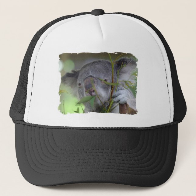 Boné Chapéu de basebol australiano do Koala (Frente)
