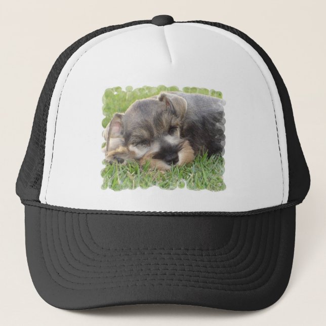 Boné Chapéu de basebol do Schnauzer Snoozing (Frente)