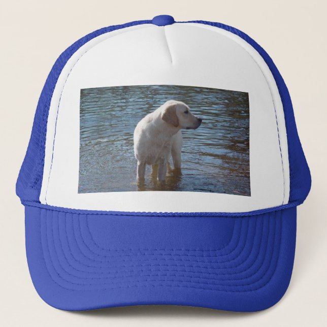 Boné Chapéu de labrador retriever no lago (Frente)