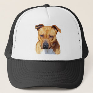 Boné Chapéu de Pitbull