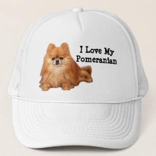 Boné Chapéu de Pomeranian
