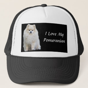Boné Chapéu de Pomeranian