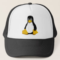 Chapéu de Tux