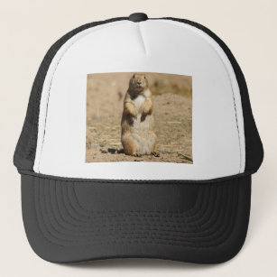 Boné Chapéu do cão de pradaria