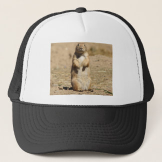 Boné Chapéu do cão de pradaria