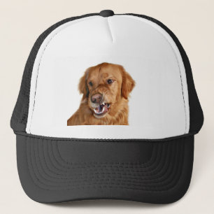 Boné Chapéu do golden retriever da rosnadura