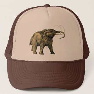 Boné Chapéu do Mastodon