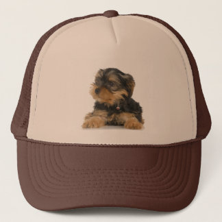 Boné Chapéu do yorkshire terrier