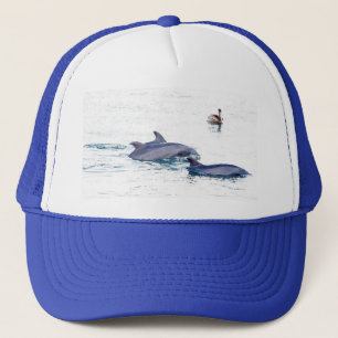 Boné Chapéu dos golfinhos de Bottlenose