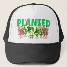 CHAPÉU PLANTADO