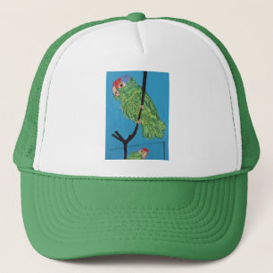 Boné chapéu verde do papagaio