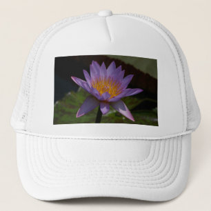 Boné Chapéu Waterlily Roxo