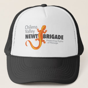 Boné Chapéus de logotipo da Chileno Valley Newade