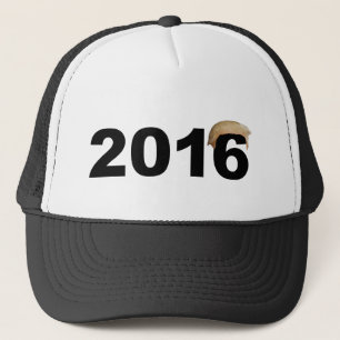 Boné Chapéus do cabelo 2016 do trunfo