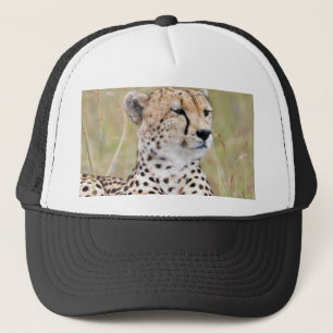 Boné Cheetah