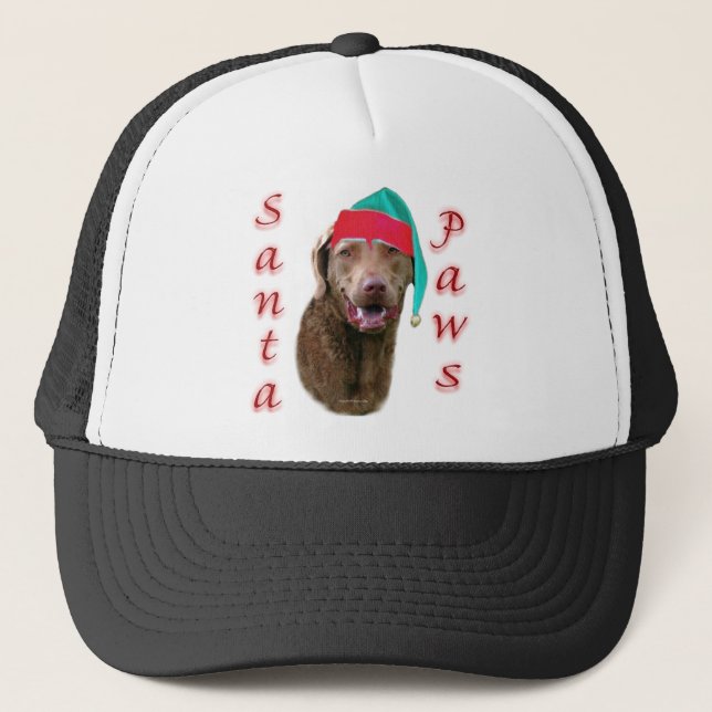 Boné ChessiePaws (Frente)
