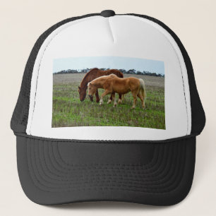 Boné Chestnut Mare E Palomino Foal,