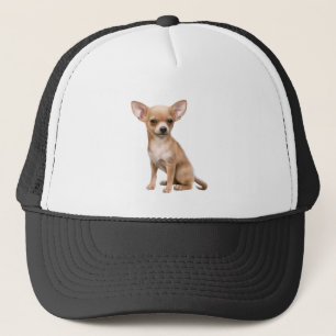 Boné Chihuahua Dog Pet Animal Custom Trucker Hat