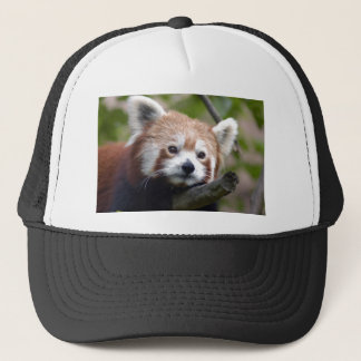Boné chinês vermelho panda4x6