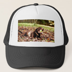 Boné Chocolate Labrador Brincando Com Bola