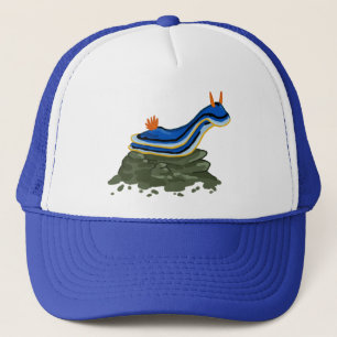 Boné Chromadoris Nudibranch