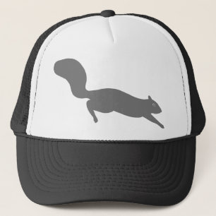 Boné Cinza de esquilo  Vida selvagem  Animais selvagens