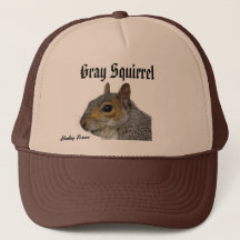 Cinza Squirrel Hat