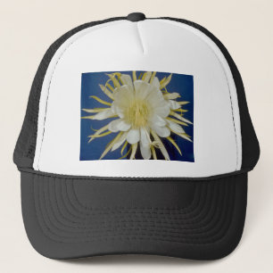 Boné círio de florescência de noite branca (undatus) 