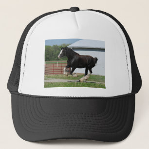 Boné Clydesdale preto
