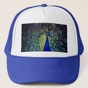 Boné Cobalto Blue Peacock
