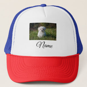 Boné Cobertor personalizado com foto de animal colorido