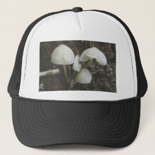 Boné Cogumelos em Stump Hat