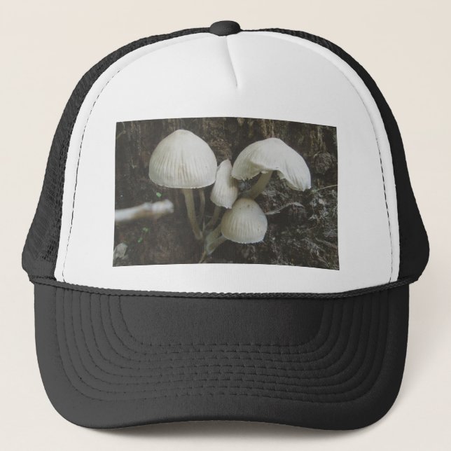 Boné Cogumelos em Stump Hat (Frente)