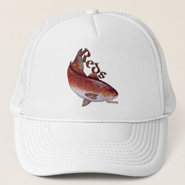 Boné Coleção de peixes de água salgada (Frente)
