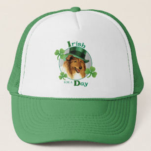Boné Collie do dia de St Patrick