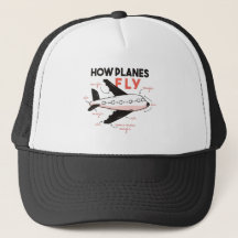 Como os aviões voam