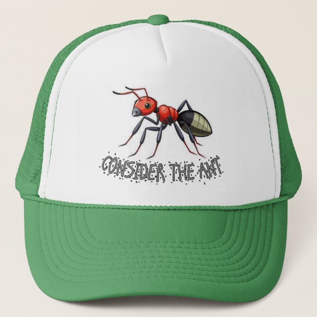 Boné Considere o Chapéu de Formiga (Frente)