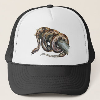 Boné Constrictor de boa