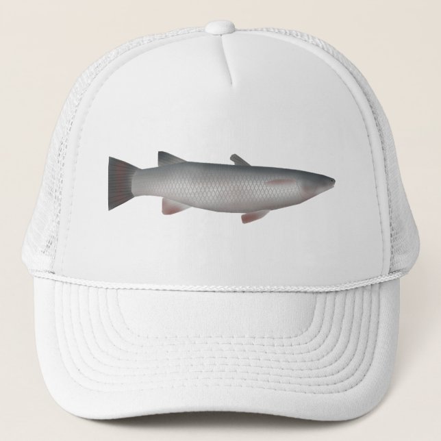 Boné Córsula (Frente)