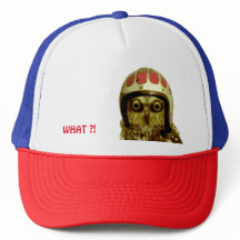 CORUJA AMERICANA DO MOTOCICLISTA