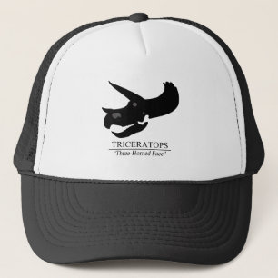 Boné Crânio do Triceratops