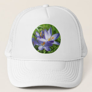 Boné Crocus
