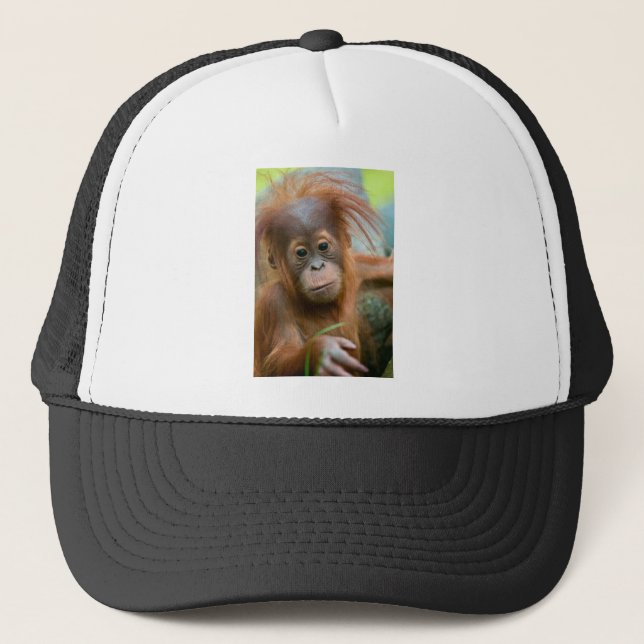 Boné Cute Baby Orangutan olhando hetero à frente (Frente)