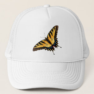 Boné da borboleta de Swallowtail
