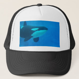 Boné da orca de assassino da baleia azul debaixo d'águ