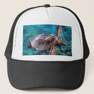 Boné da tartaruga de Havaí Honu