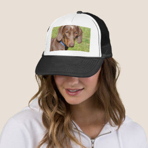 Boné Dachshund