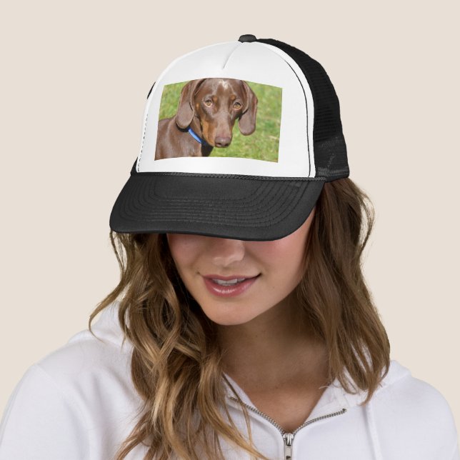 Boné Dachshund (In Situ)