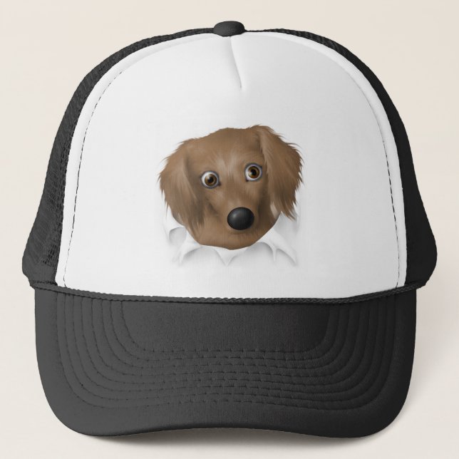 Boné Dachshund (cabelo longo) que rebenta para fora (Frente)